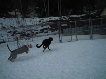 Full speed!